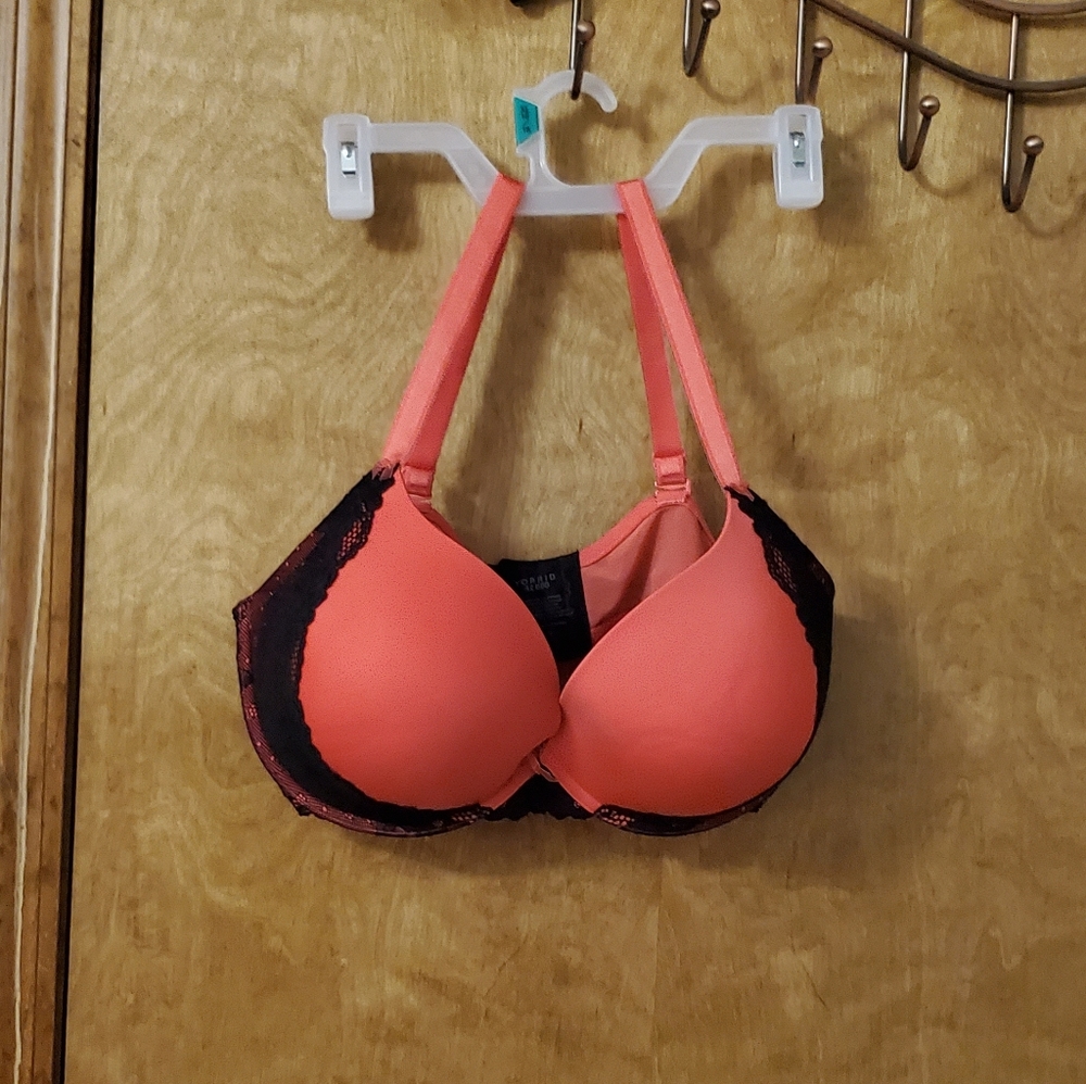 Torrid bra